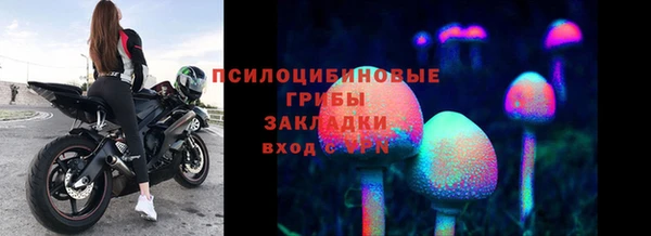 спиды Алексин