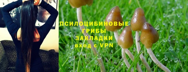 марки lsd Алексеевка